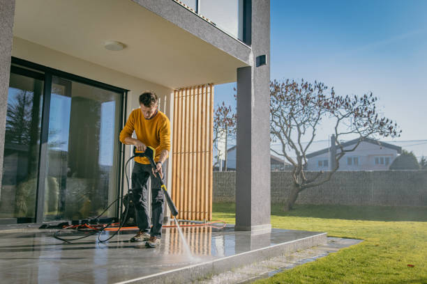 Best Roof Cleaning and Mildew Removal in Clarkesville, GA